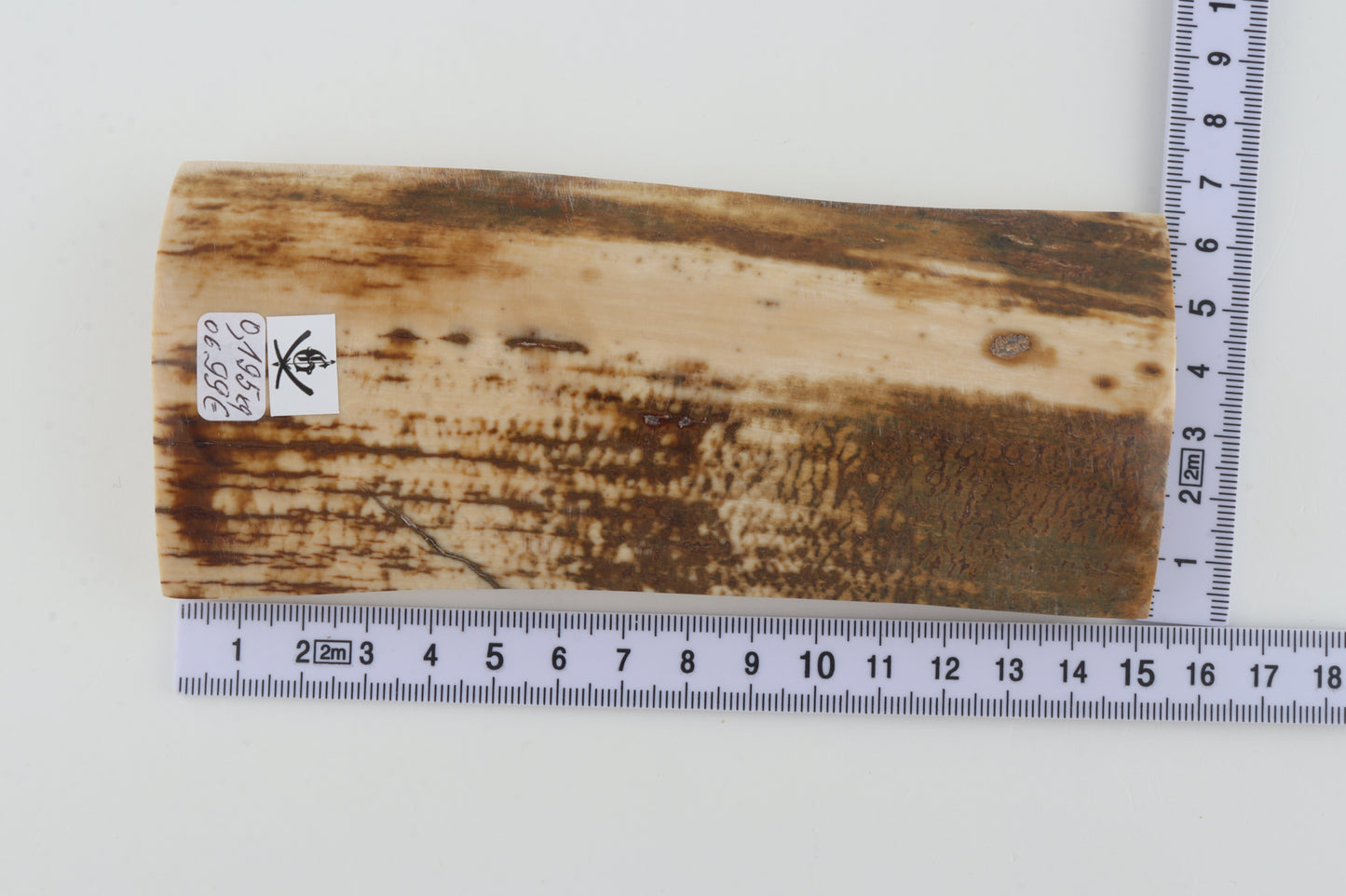 White-brown mammoth bark