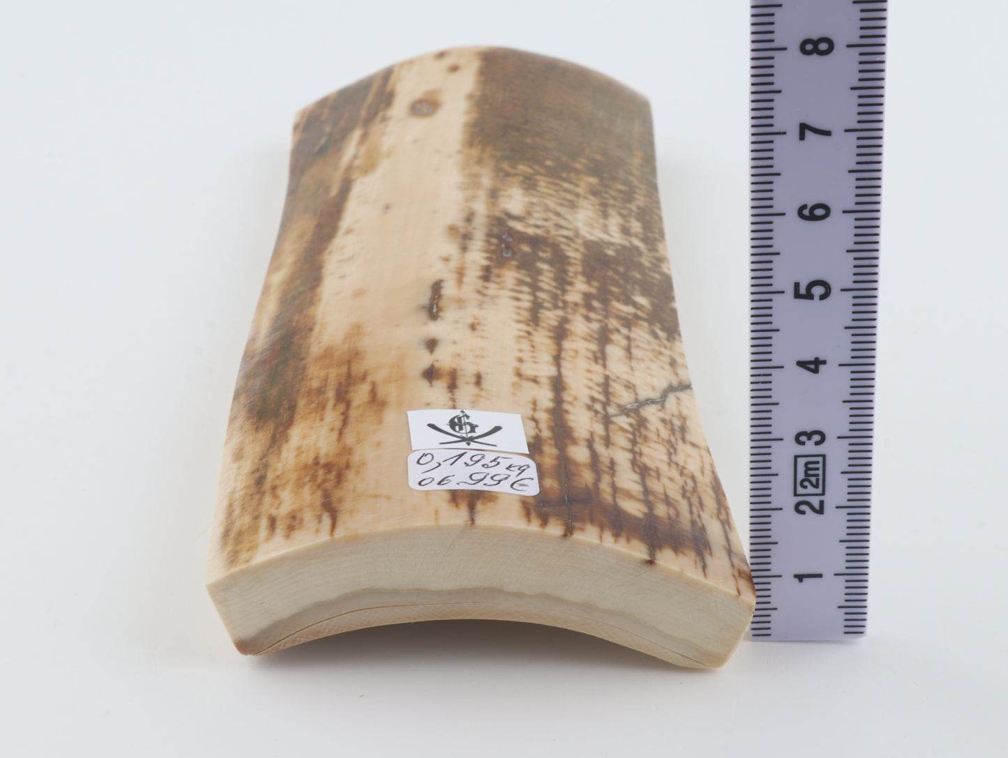 White-brown mammoth bark