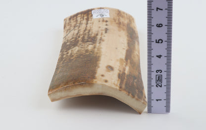 White-brown mammoth bark