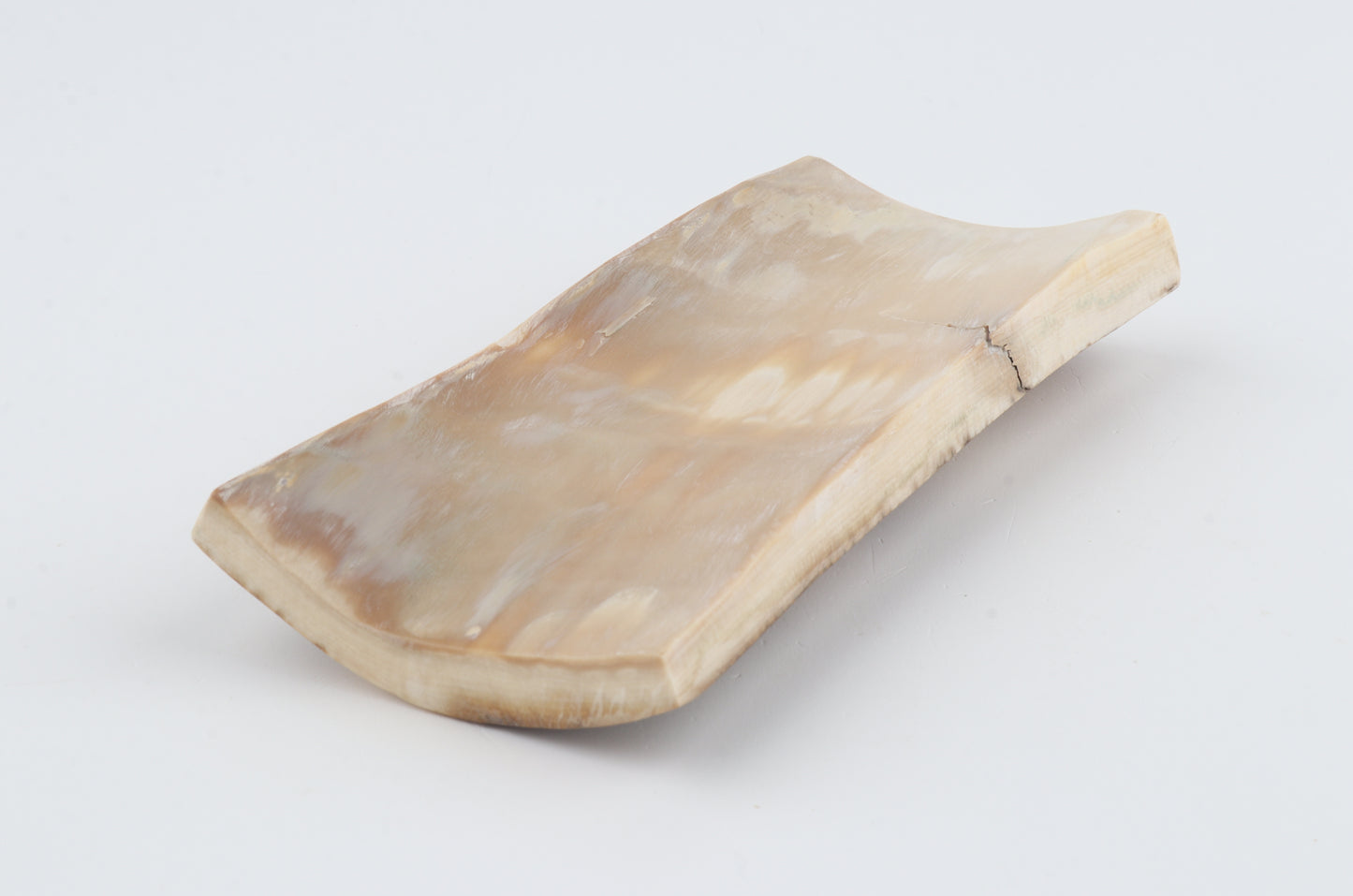 White-brown mammoth bark