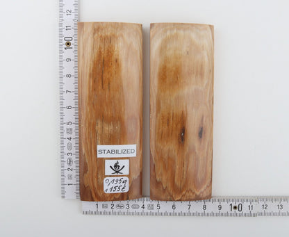Stabilized mammoth bark scales
