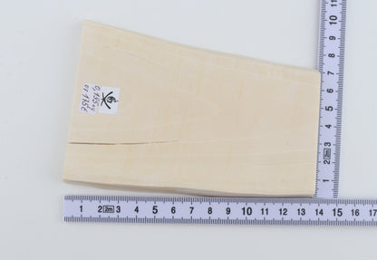White mammoth ivory segment
