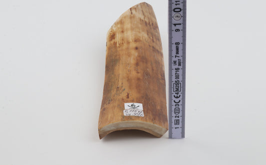 Orange-beige mammoth bark