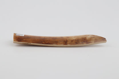 Orange-beige mammoth bark
