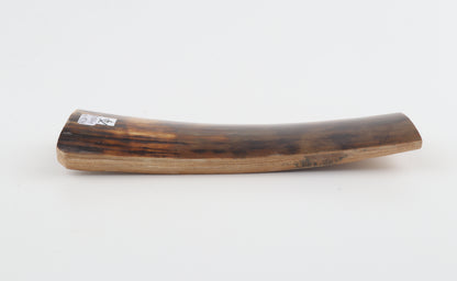 Brown-orange mammoth bark