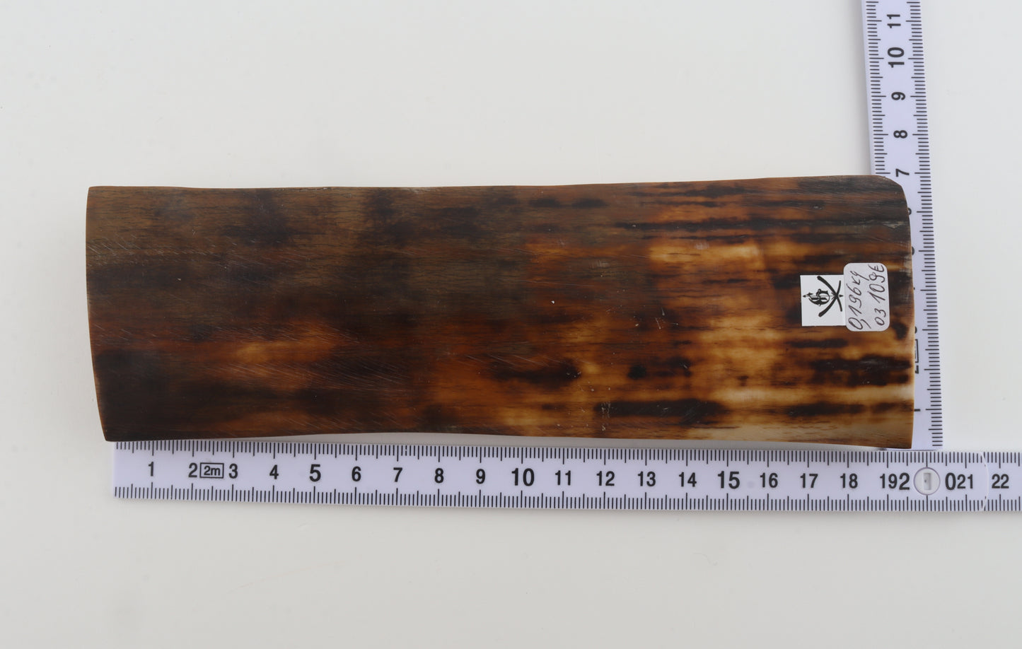 Brown-orange mammoth bark