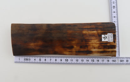 Brown-orange mammoth bark