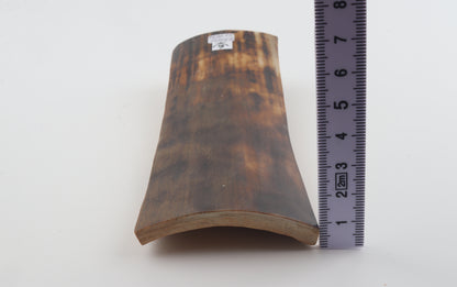 Brown-orange mammoth bark