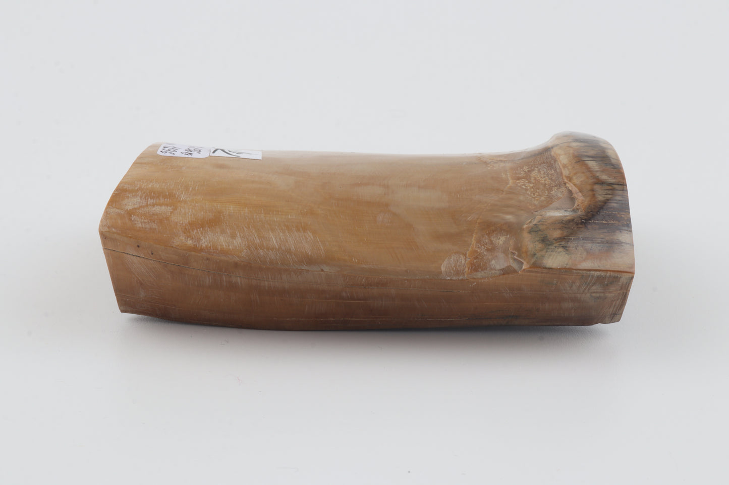 Natural mammoth ivory piece