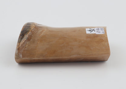 Natural mammoth ivory piece