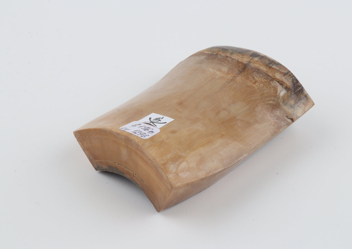 Natural mammoth ivory piece