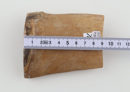 Natural mammoth ivory piece