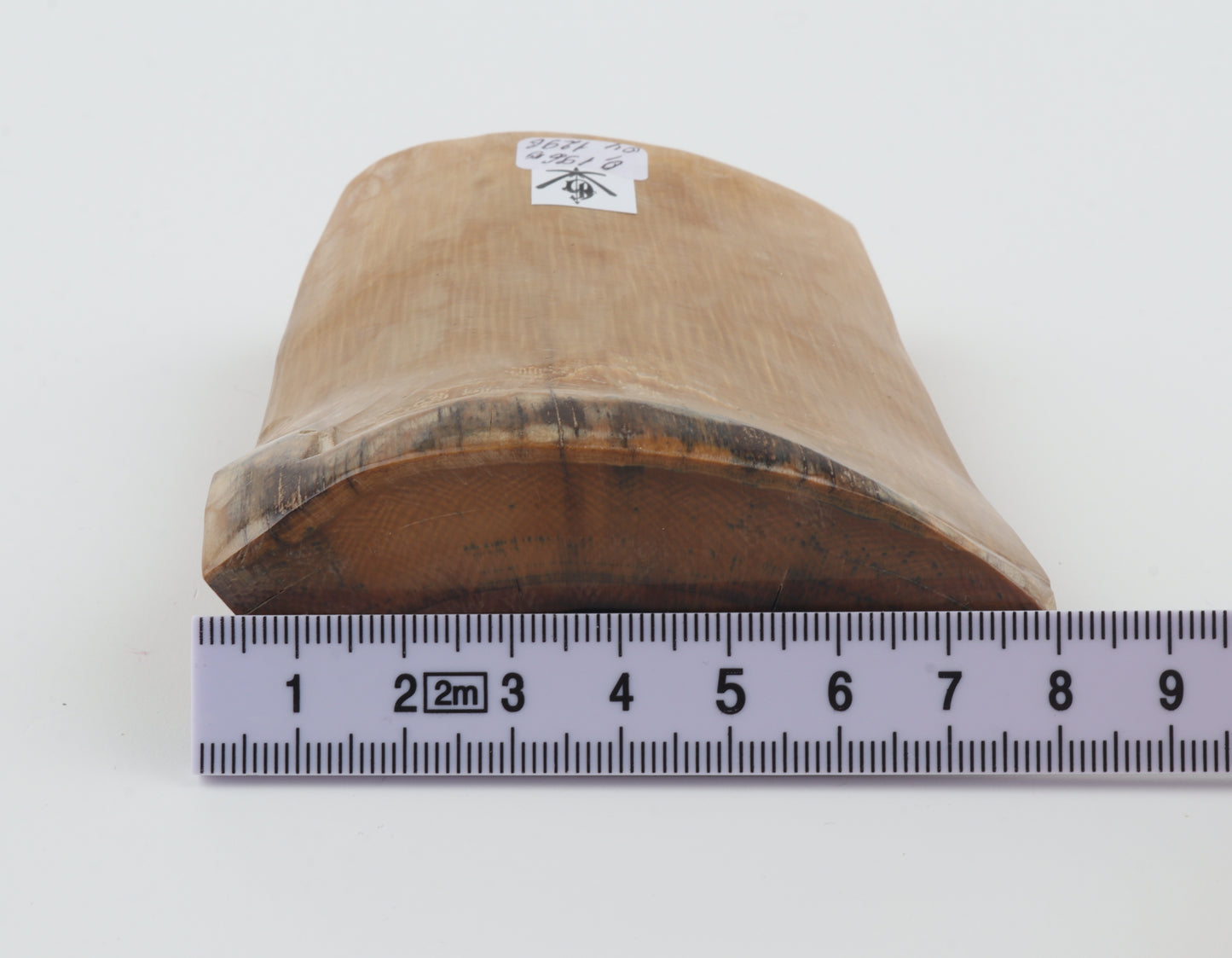 Natural mammoth ivory piece