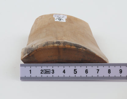 Natural mammoth ivory piece