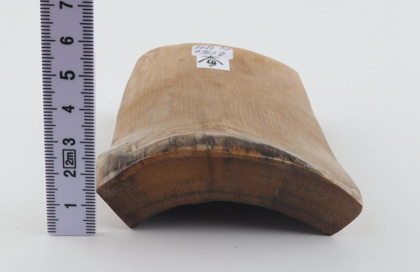 Natural mammoth ivory piece