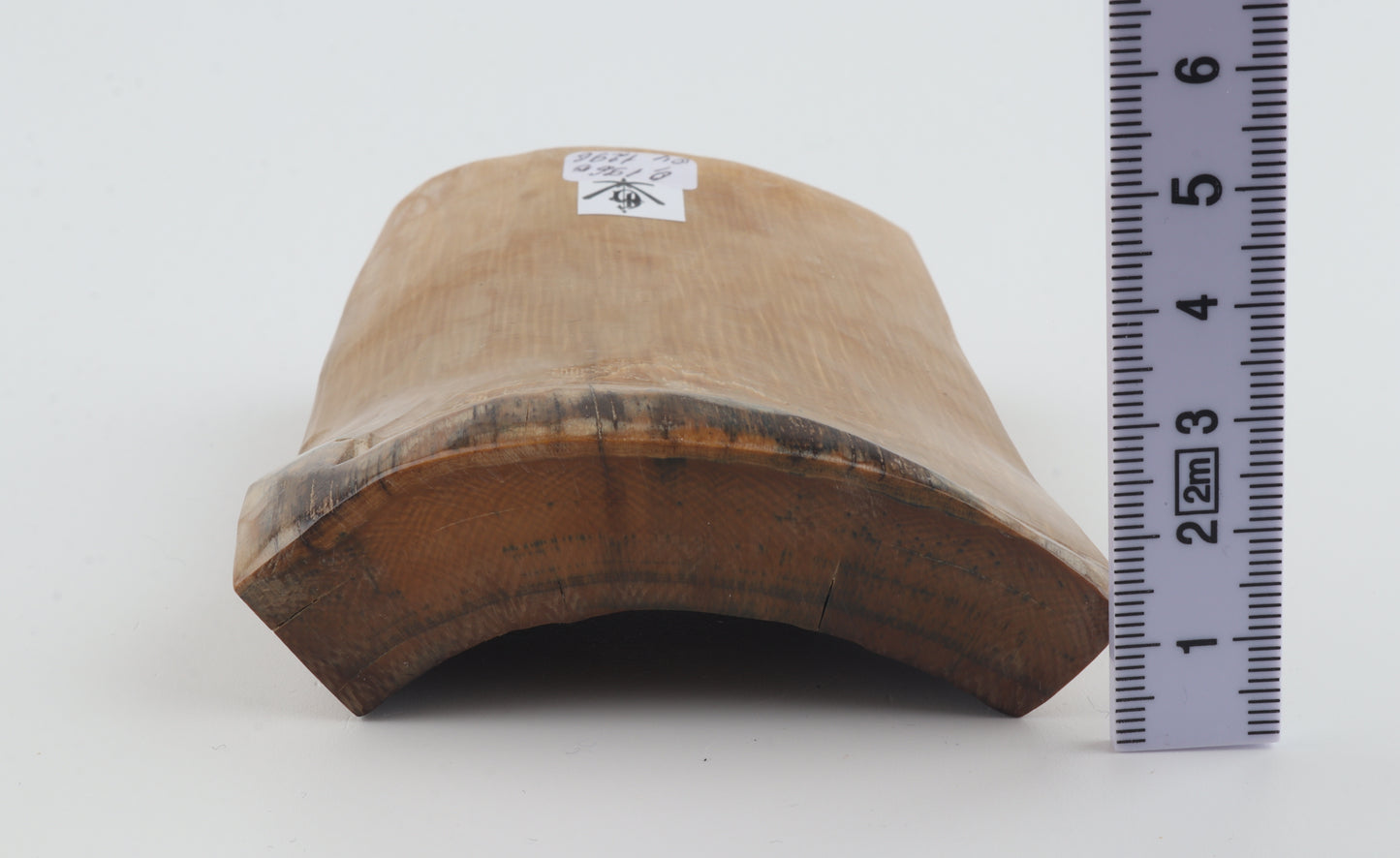 Natural mammoth ivory piece