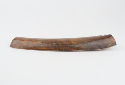 Brown-caramel mammoth bark