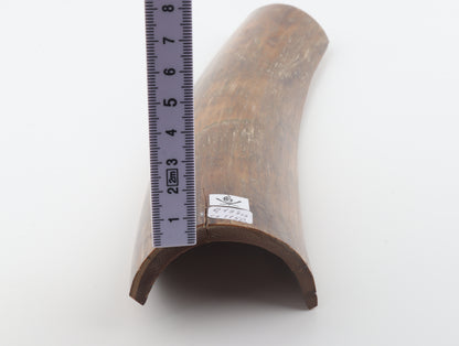 Brown-caramel mammoth bark