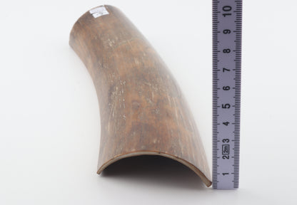 Brown-caramel mammoth bark