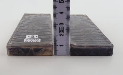 Stabilized mammoth molar scales