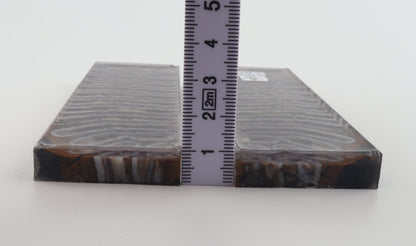 Stabilized mammoth molar scales