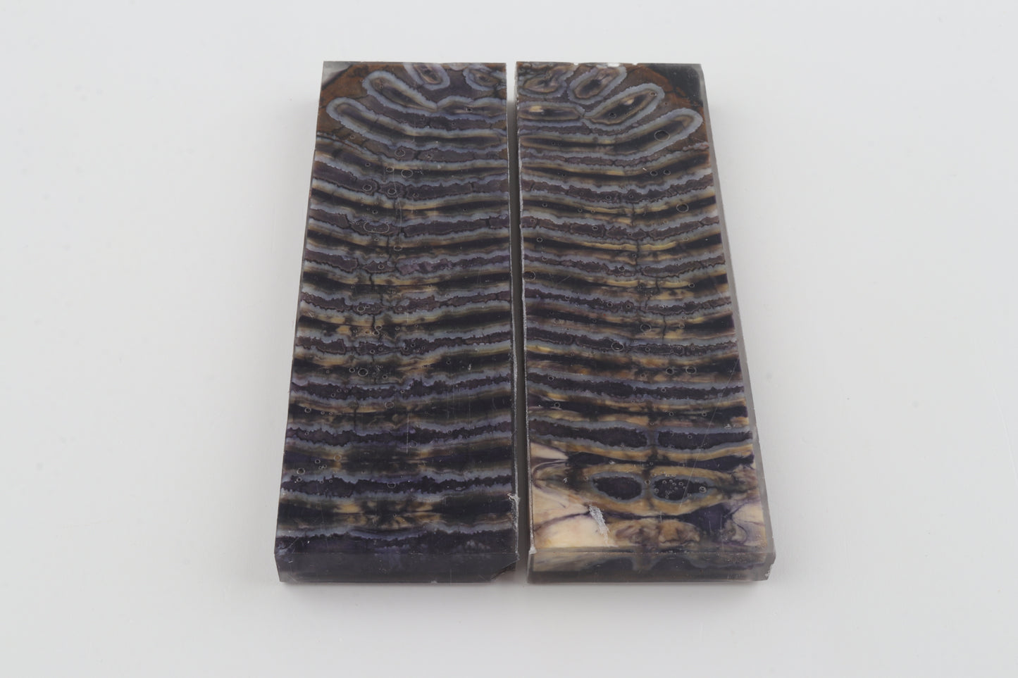 Stabilized mammoth molar scales