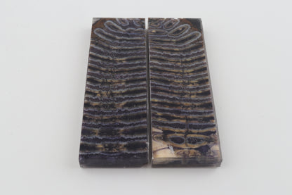 Stabilized mammoth molar scales
