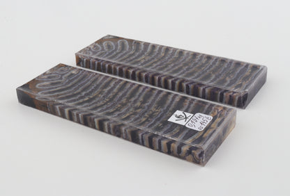 Stabilized mammoth molar scales