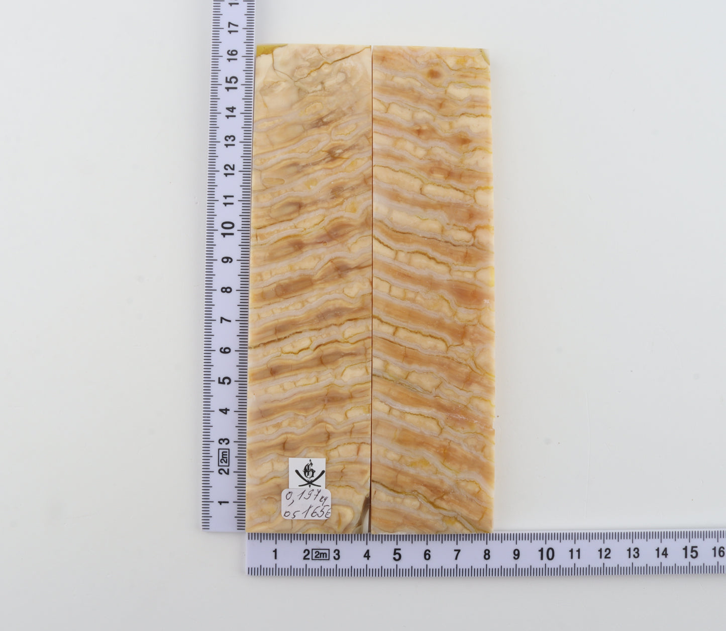 Stabilised mammoth molar scales