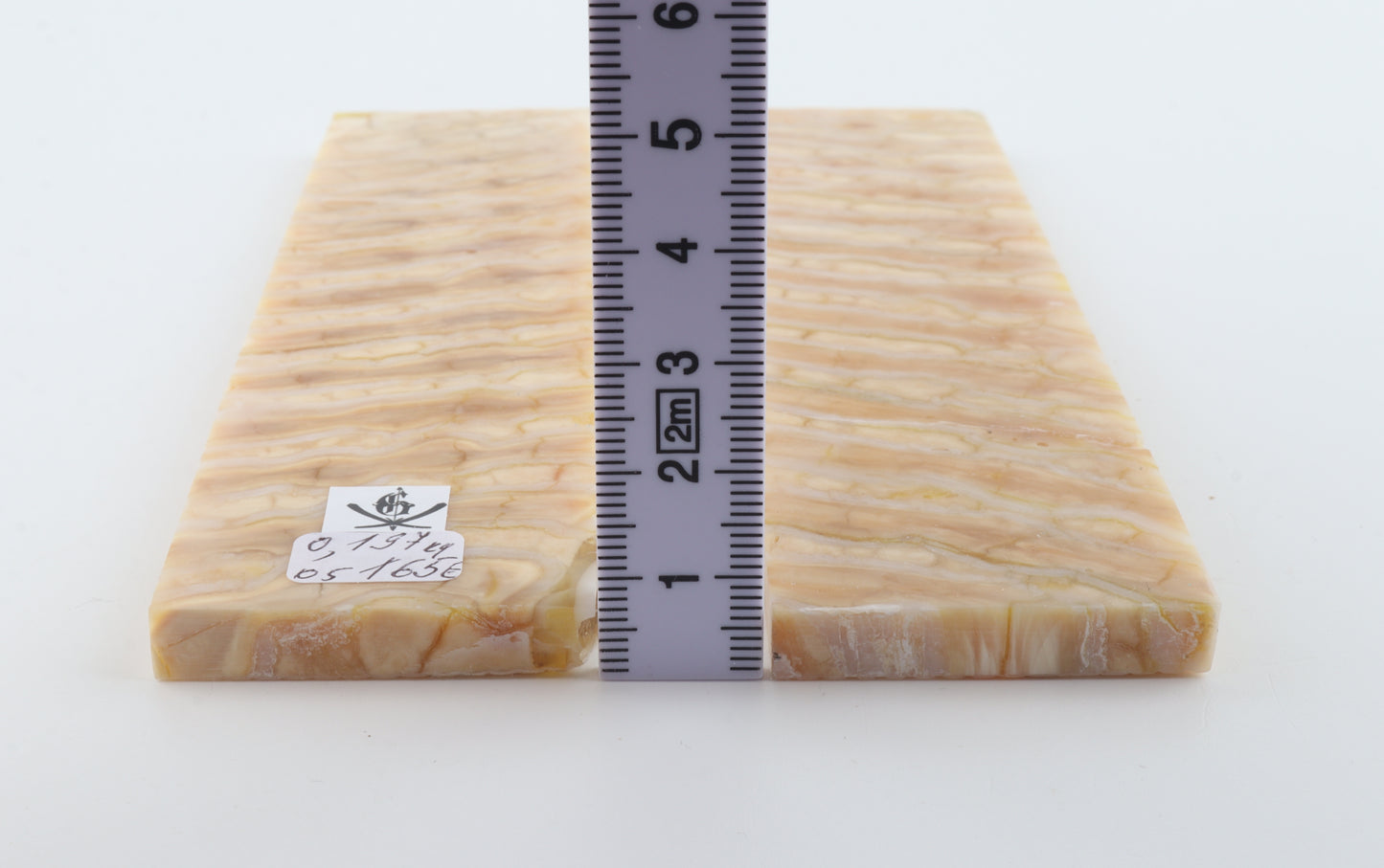 Stabilised mammoth molar scales
