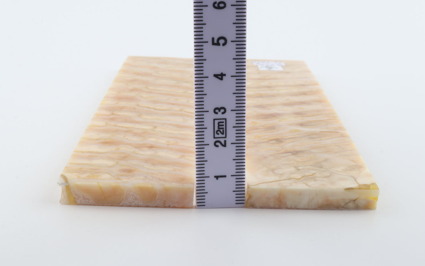 Stabilised mammoth molar scales