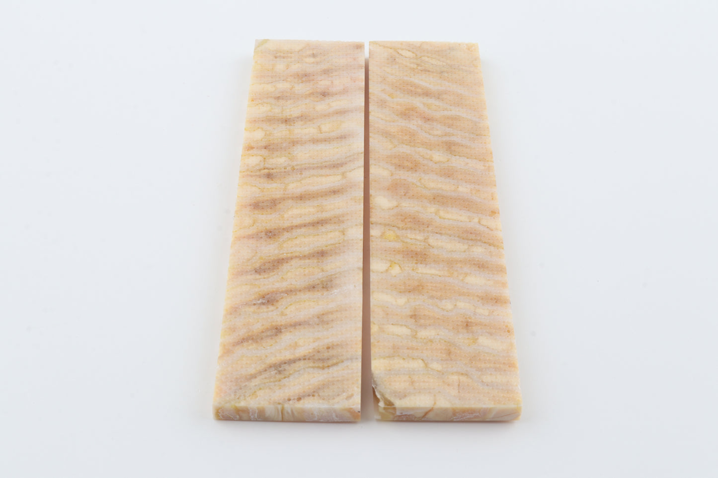 Stabilised mammoth molar scales