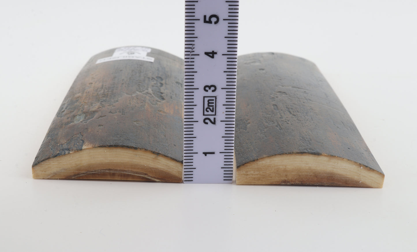 Stabilized mammoth bark scales