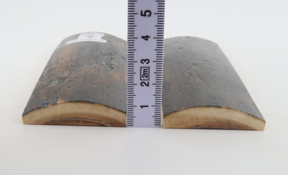 Stabilized mammoth bark scales