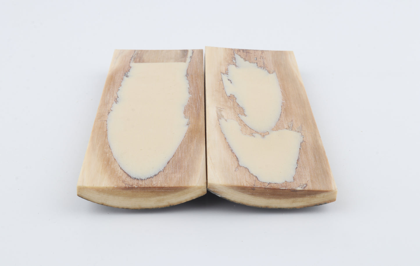 Stabilized mammoth bark scales