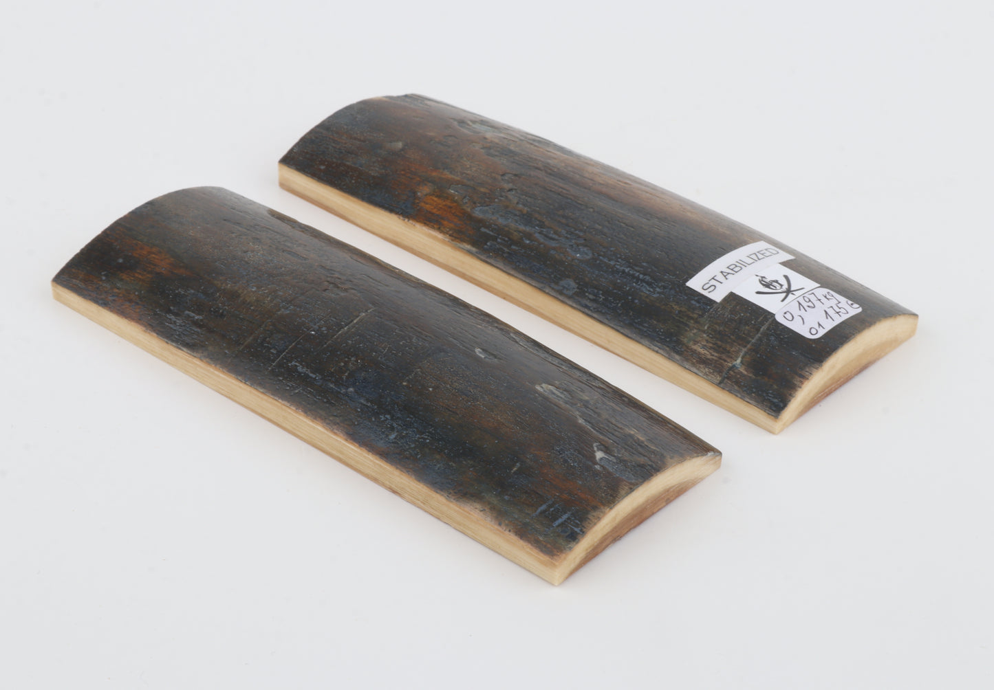 Stabilized mammoth bark scales