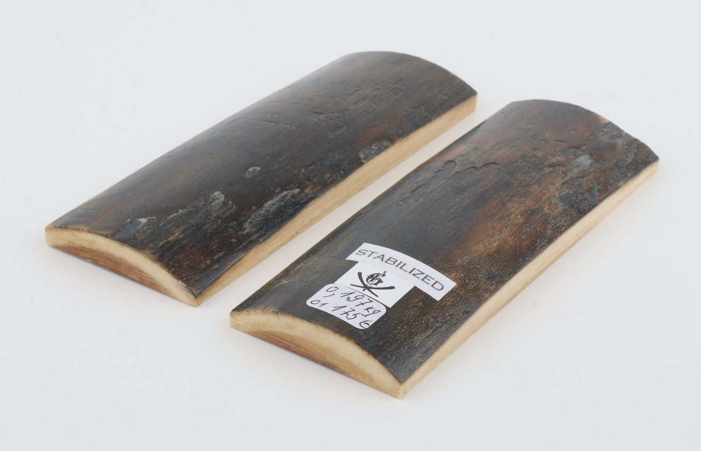 Stabilized mammoth bark scales