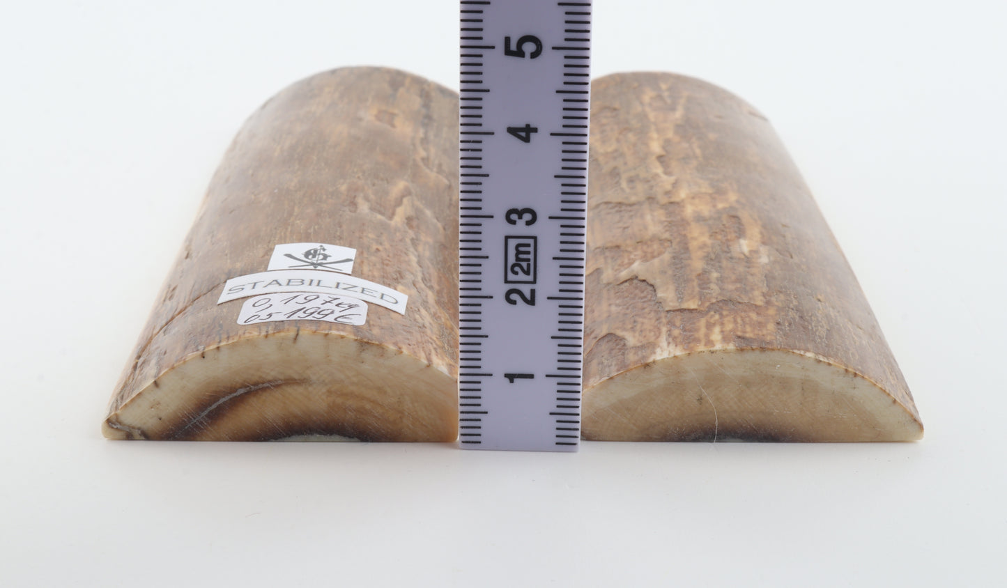 Stabilized mammoth bark scales