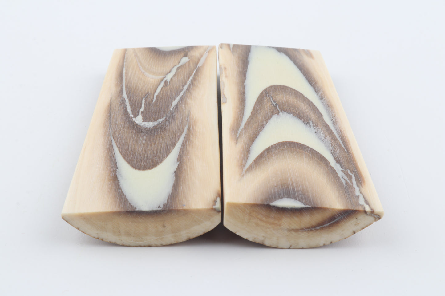 Stabilized mammoth bark scales