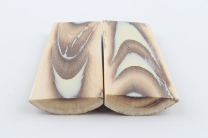 Stabilized mammoth bark scales