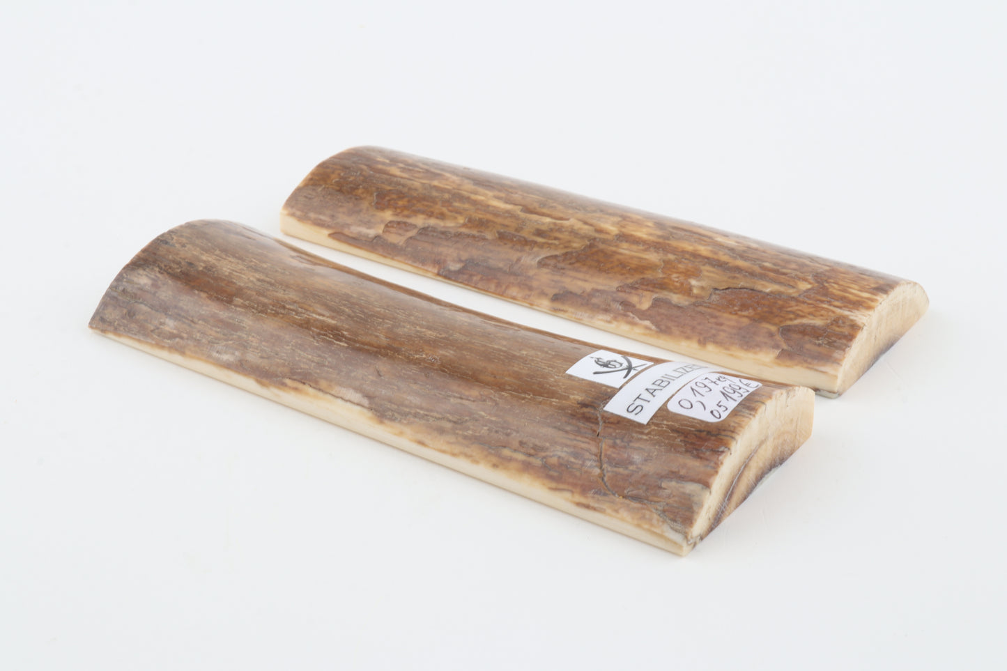 Stabilized mammoth bark scales
