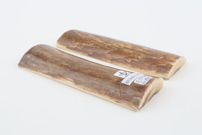Stabilized mammoth bark scales