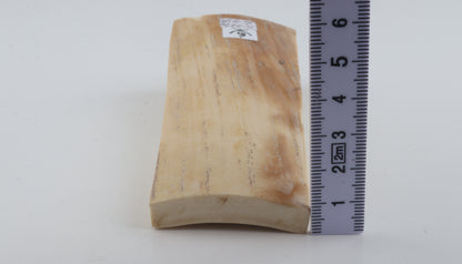 White-orange mammoth bark
