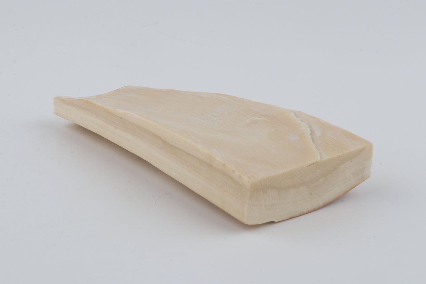 White-orange mammoth bark