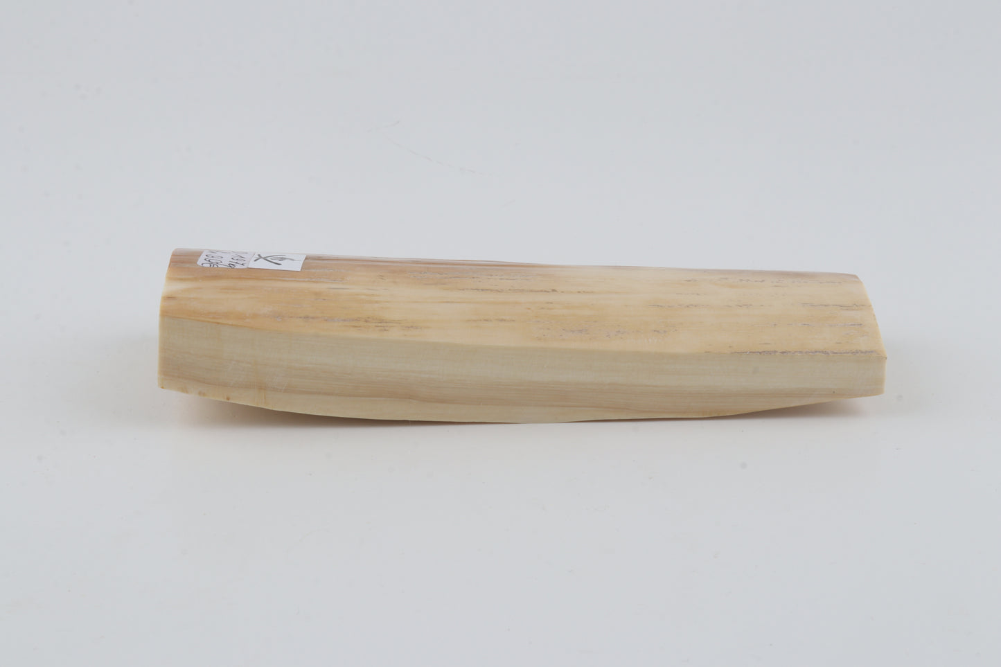 White-orange mammoth bark