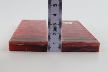 Stabilised mammoth molar scales