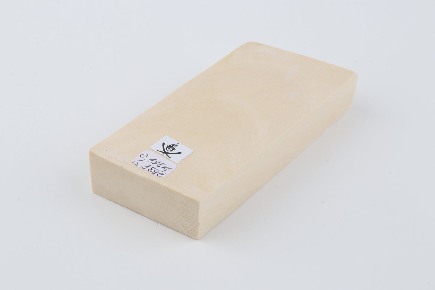 White mammoth ivory segment