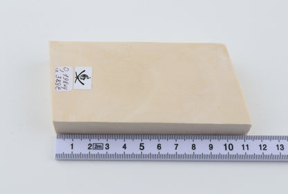 White mammoth ivory segment