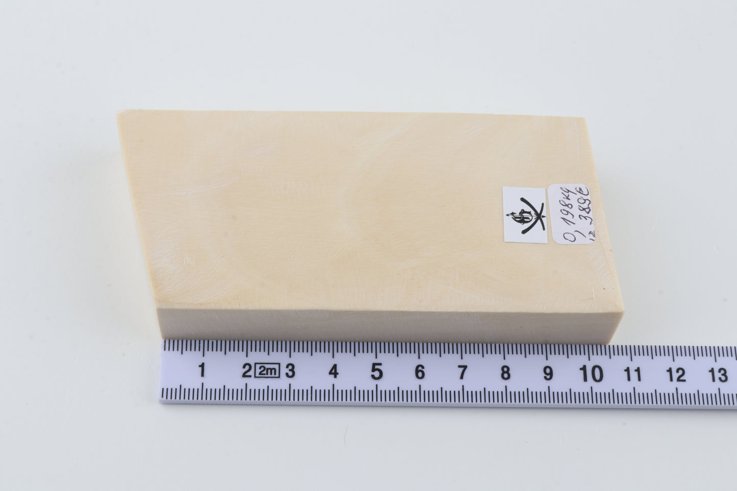 White mammoth ivory segment