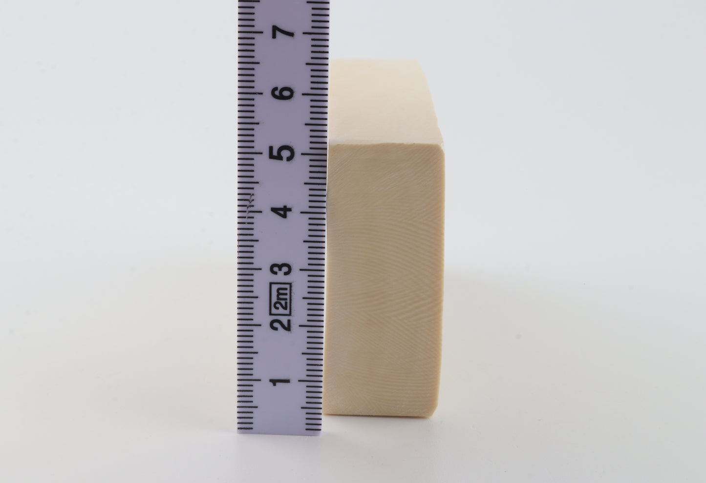 White mammoth ivory segment